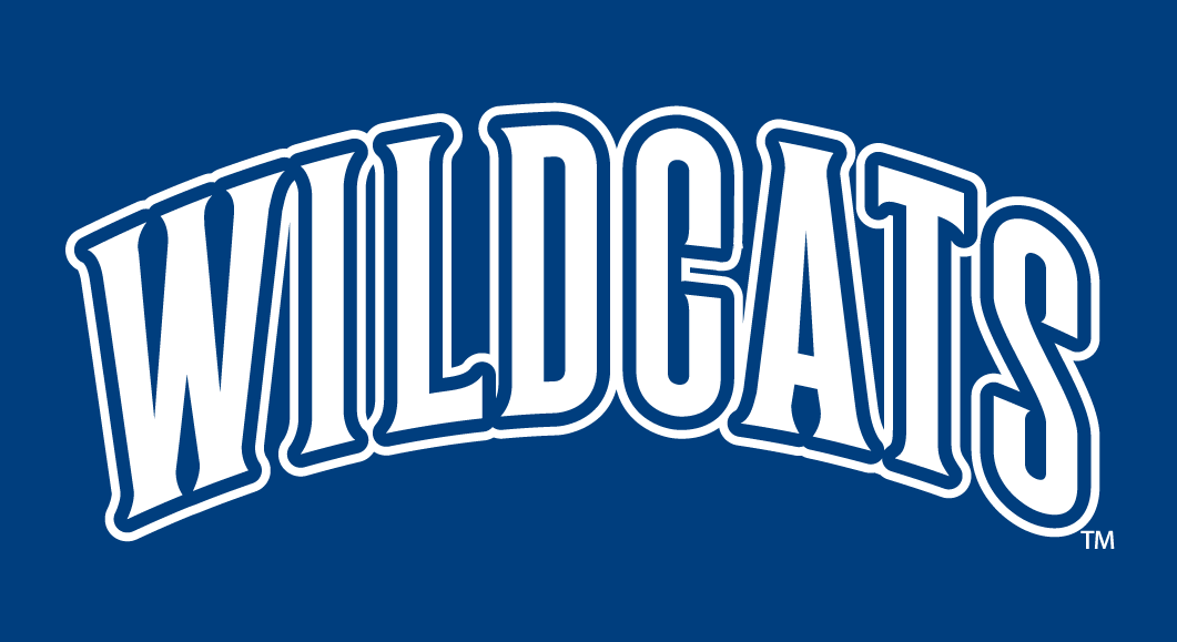 Villanova Wildcats 1996-Pres Wordmark Logo v2 iron on transfers for T-shirts